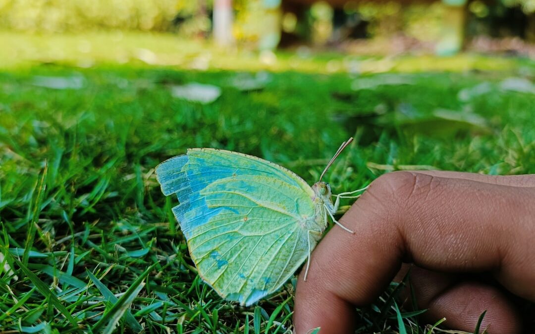 How to Use Games to Teach Environmental Awareness